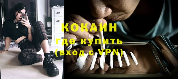 шишки Волосово