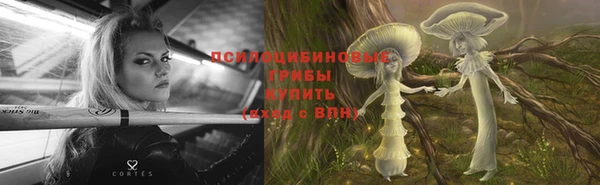 шишки Волосово