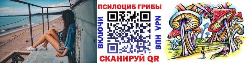 Купить  Лихославль  Галлюциногенные грибы Psilocybine cubensis 